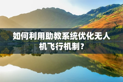 如何利用助教系统优化无人机飞行机制？