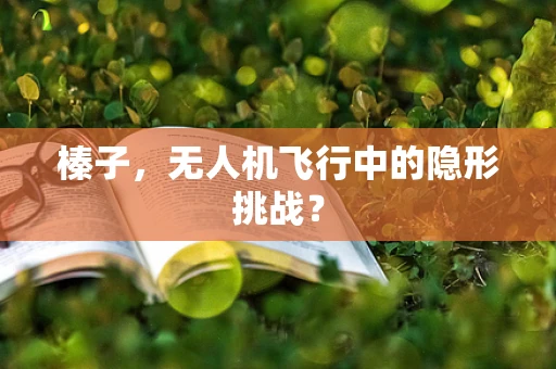 榛子，无人机飞行中的隐形挑战？