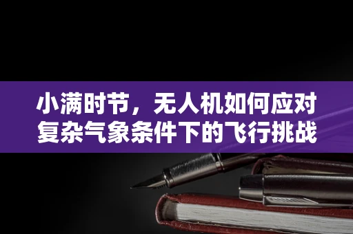 小满时节，无人机如何应对复杂气象条件下的飞行挑战？