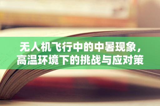 无人机飞行中的中暑现象，高温环境下的挑战与应对策略