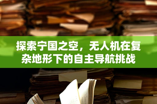 探索宁国之空，无人机在复杂地形下的自主导航挑战