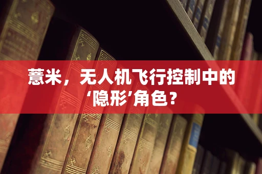 薏米，无人机飞行控制中的‘隐形’角色？