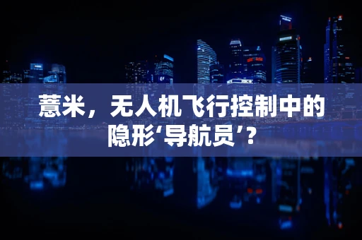 薏米，无人机飞行控制中的隐形‘导航员’？