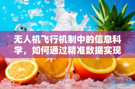 无人机飞行机制中的信息科学，如何通过精准数据实现高效导航？