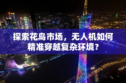 探索花鸟市场，无人机如何精准穿越复杂环境？