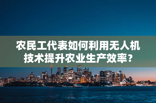 农民工代表如何利用无人机技术提升农业生产效率？