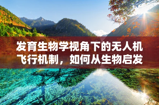 发育生物学视角下的无人机飞行机制，如何从生物启发的智能控制中汲取灵感？