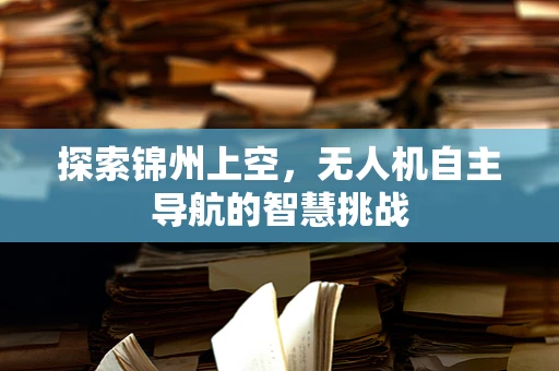 探索锦州上空，无人机自主导航的智慧挑战