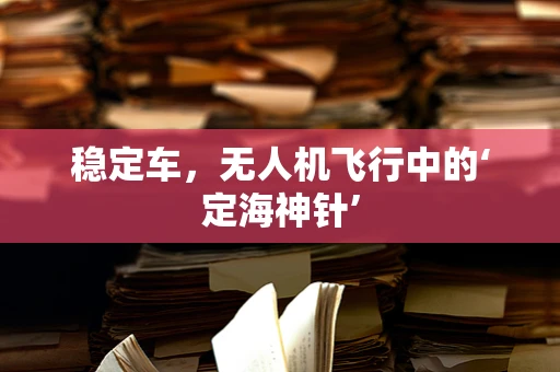 稳定车，无人机飞行中的‘定海神针’