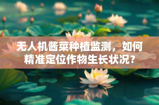 无人机酱菜种植监测，如何精准定位作物生长状况？