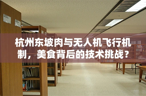 杭州东坡肉与无人机飞行机制，美食背后的技术挑战？