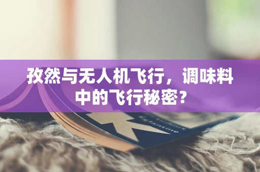 孜然与无人机飞行，调味料中的飞行秘密？