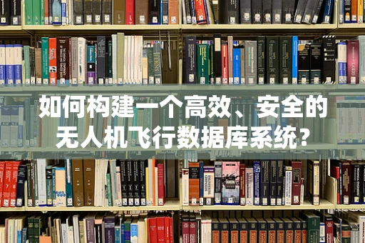 如何构建一个高效、安全的无人机飞行数据库系统？