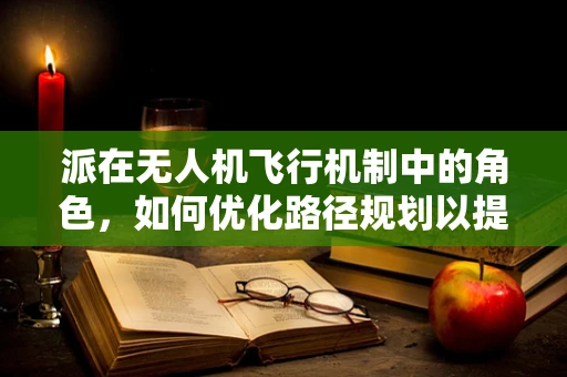 派在无人机飞行机制中的角色，如何优化路径规划以提升效率？