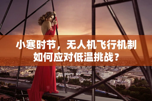 小寒时节，无人机飞行机制如何应对低温挑战？