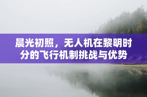 晨光初照，无人机在黎明时分的飞行机制挑战与优势