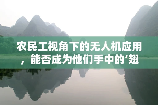 农民工视角下的无人机应用，能否成为他们手中的‘翅膀’？