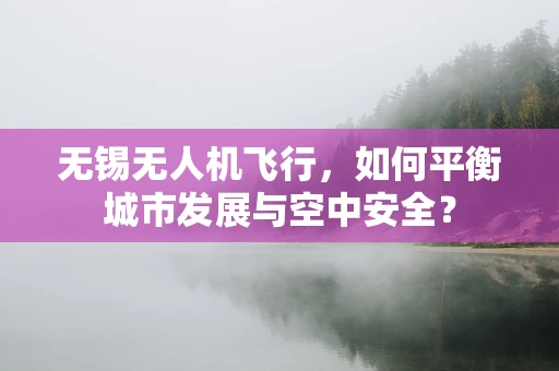 无锡无人机飞行，如何平衡城市发展与空中安全？