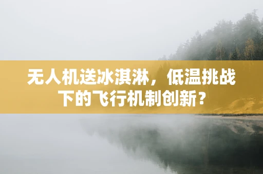 无人机送冰淇淋，低温挑战下的飞行机制创新？