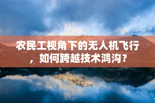 农民工视角下的无人机飞行，如何跨越技术鸿沟？