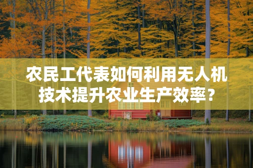 农民工代表如何利用无人机技术提升农业生产效率？