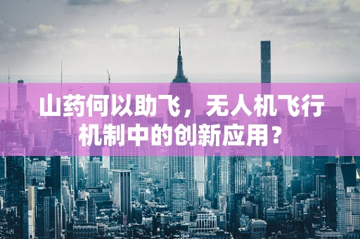 山药何以助飞，无人机飞行机制中的创新应用？