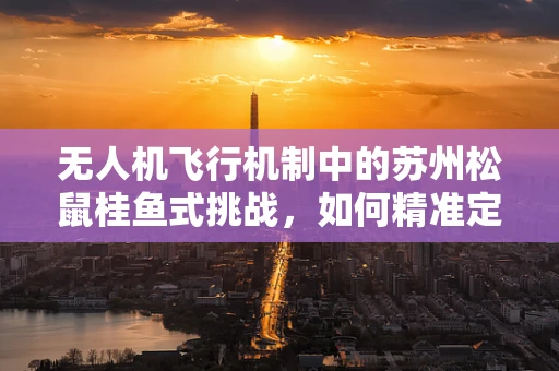 无人机飞行机制中的苏州松鼠桂鱼式挑战，如何精准定位与避障？