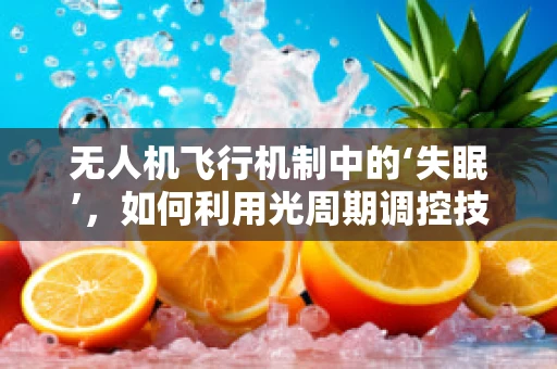 无人机飞行机制中的‘失眠’，如何利用光周期调控技术改善夜间作业效率？