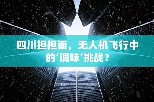 四川担担面，无人机飞行中的‘调味’挑战？