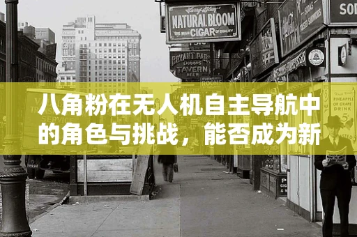 八角粉在无人机自主导航中的角色与挑战，能否成为新时代的‘导航秘药’？