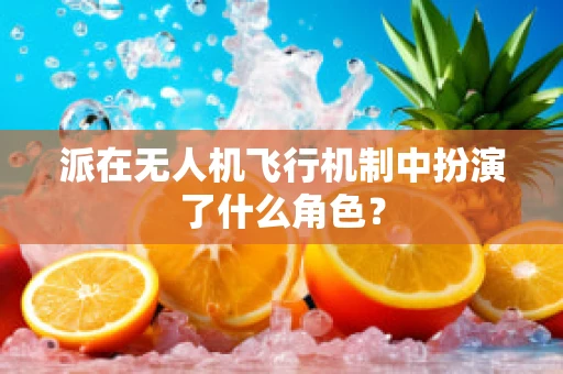 派在无人机飞行机制中扮演了什么角色？