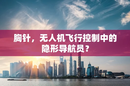 胸针，无人机飞行控制中的隐形导航员？