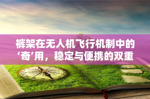 裤架在无人机飞行机制中的‘奇’用，稳定与便携的双重考量？