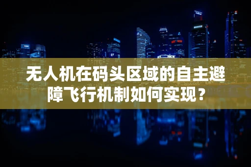 无人机在码头区域的自主避障飞行机制如何实现？