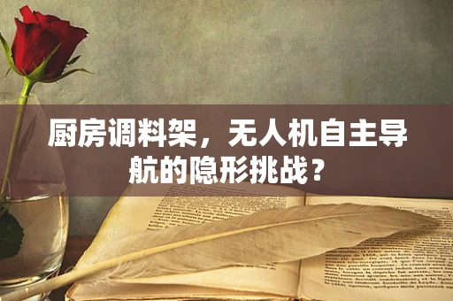 厨房调料架，无人机自主导航的隐形挑战？