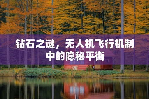 钻石之谜，无人机飞行机制中的隐秘平衡