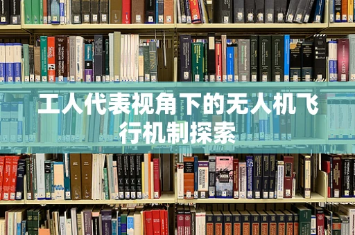 工人代表视角下的无人机飞行机制探索