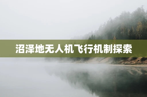 沼泽地无人机飞行机制探索