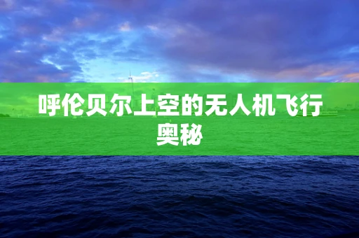 呼伦贝尔上空的无人机飞行奥秘