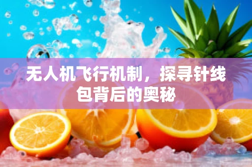 无人机飞行机制，探寻针线包背后的奥秘