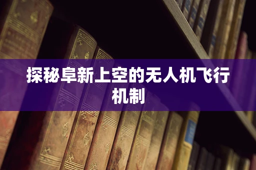 探秘阜新上空的无人机飞行机制