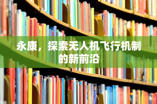 永康，探索无人机飞行机制的新前沿