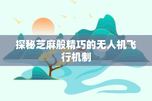 探秘芝麻般精巧的无人机飞行机制